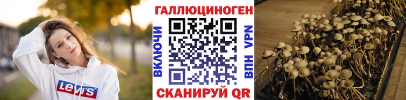 Галлюциногенные грибы прущие грибы  Липецк 